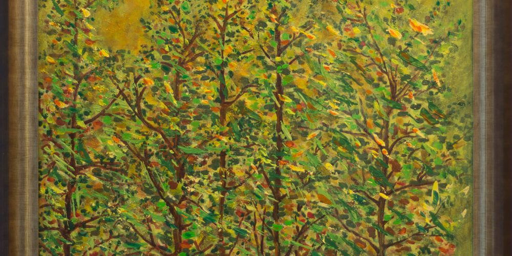 Floresta encantada