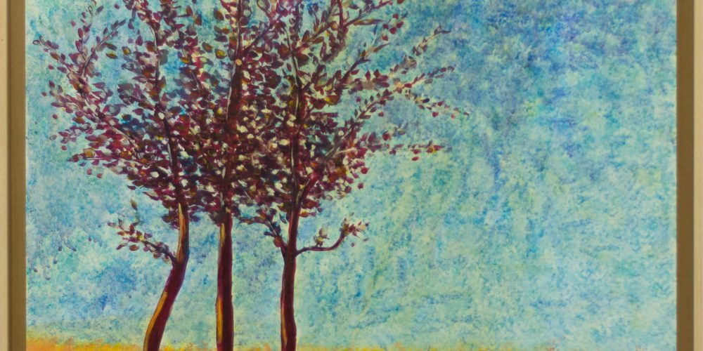 Margarida Basaloco | Prunus Cerasifera família