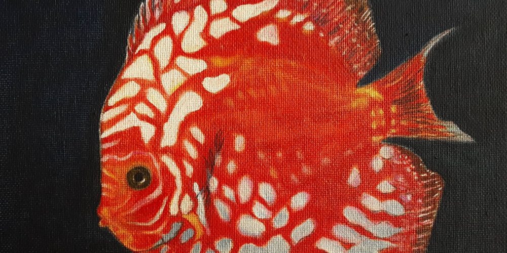 Série peixes | óleo s/tela
